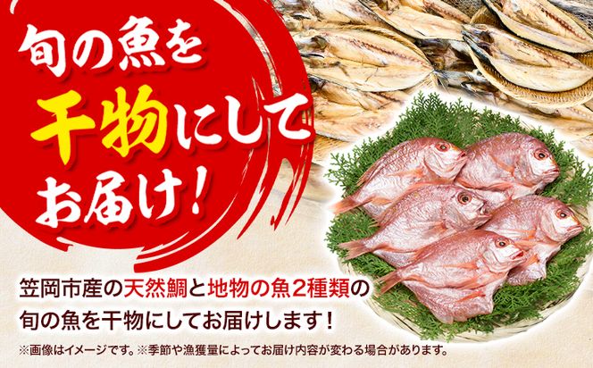 真鯛の熟成干物セット 笠岡魚市場《45日以内に出荷予定(土日祝除く)》岡山県 笠岡市 真鯛 干物 ひもの 海鮮 旬 魚 お魚---A-03---