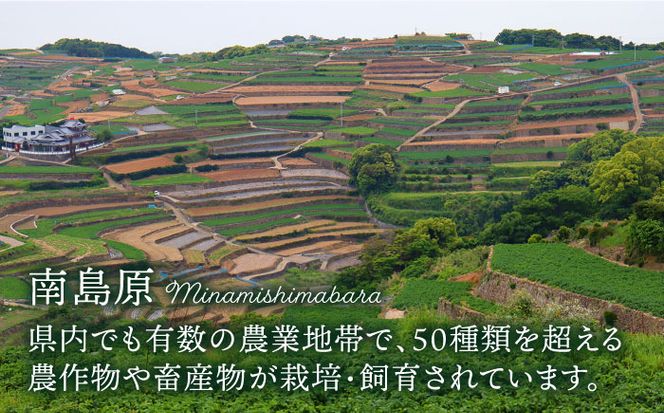 【12回定期便】きのこ定期便 厳選セット 4品目「12回（毎月）」お届け 特選キノコ 詰め合わせ きのこ きのこセット / 南島原市 / 吉岡青果 [SCZ015]