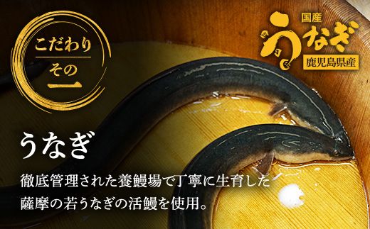 鹿児島県産うなぎ使用 冷凍うなぎめし 2食セット ※離島への配送不可