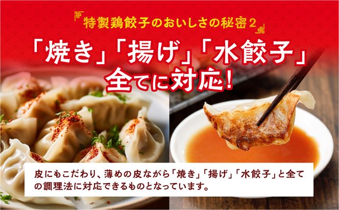 悠瑠里特製鶏餃子72個_M293-003