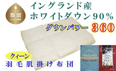 CK328【イングランド産ホワイトダウン90%】羽毛肌布団 220×210cm クィーン【ダウンパワー360】