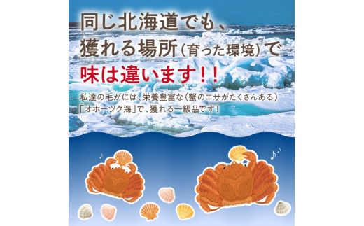 【予約：2025年3月下旬から順次発送】【旬の浜ゆで毛ガニを冷蔵便で】オホーツク海産 浜茹で海明け毛がに 約400g×2ハイ 冷蔵 ( かに 蟹 魚介類 海鮮 )【114-0029-2025】