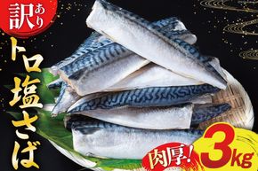 訳あり 塩サバ フィレ 3kg [足利本店 宮城県 気仙沼市 20564146_CF01] 魚介類 魚 サバ サバフィレ さば 鯖 サバフィーレ 鯖フィレ 切り身 冷凍 訳アリ 訳ありサバ 大容量 わけあり トロ