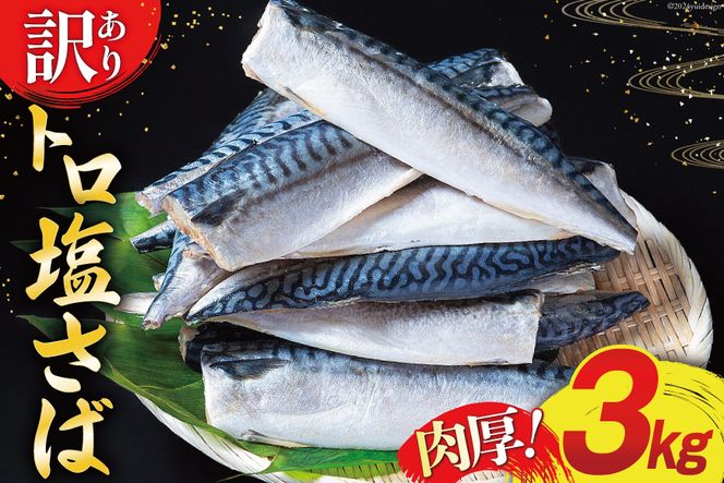 y{錧Csz󂠂 To tB 3kg [{X {錧 Cs 20564146]   CN e To  I TotB TotB[ ItB gTo A 󂠂 킯 ؂g Ⓚ
