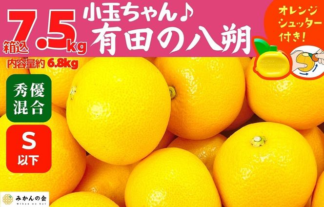 八朔 (はっさく) とにかく 小玉 箱込 7.5kg(内容量約 6.8kg) 秀品 優品 混合 Sサイズ以下 和歌山県産  産地直送【おまけ付き】【みかんの会】AX237