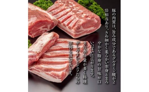 【北島麦豚】贅沢切り落し 2kg(250g×8パック) 豚肉 北海道