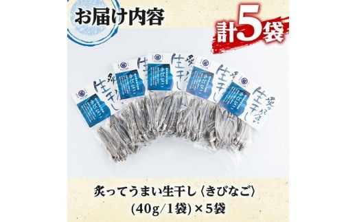 鹿児島県阿久根市産生干し「きびなご」(計5袋・1袋40g)国産 魚介 干物 ひもの キビナゴ がらんつ干物【マルフク川畑水産】akn029-04