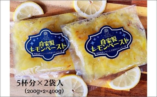 レモンサワー専門店の自家製レモンペースト ( 加工品 国産 レモン れもん ペースト レモンサワー レモネード レシピ付き )【132-0002】