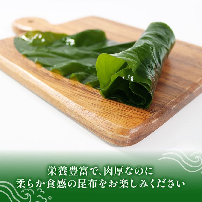 三陸わかめ 三陸産 芯抜き塩蔵わかめ 250g×2袋 湯通し塩蔵こんぶ 500g×2袋 [saitou004_1]	