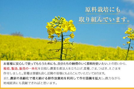 「堀内製油」の地あぶら（なたね油）825g×3本【定期便】計2回 熊本県氷川町産《お申込み月翌月以降の出荷月から出荷開始》---sh_hra3tei_r7_37500_ev6mo2---