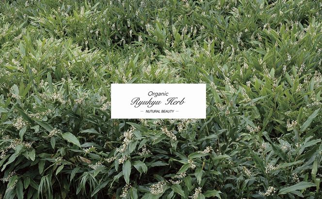 【おすすめセット！】丸海きあら月桃ローション　スプレー&ボトルセット