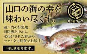 A010 山口県漁協大海の海の幸セット（年6回コース）