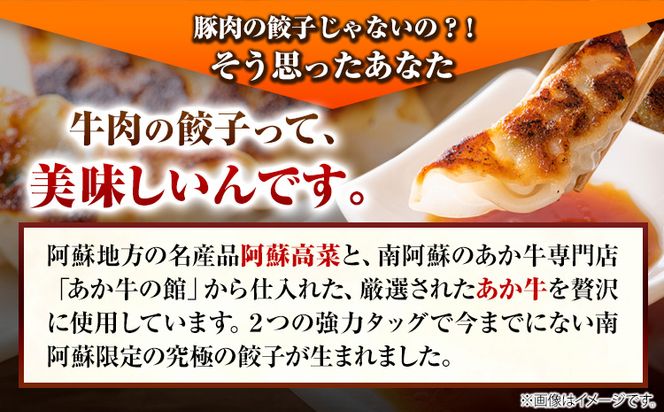 あか牛と高菜の餃子 18個入り×3箱 南阿蘇物産センター《30日以内に出荷予定（土日祝を除く）》熊本県 南阿蘇村 肉 牛 うし 牛肉 あか牛 高菜 たかな 餃子---sms_fautkngz_30d_r7_13500_46p---