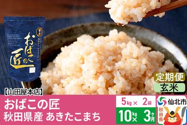 玄米】《定期便9ヶ月》秋田県産 サキホコレ 特別栽培米 9kg(3kg×3袋)×9