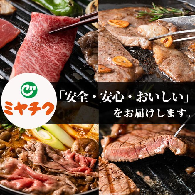 宮崎牛3種食べ比べ(合計1.1kg) 牛肉 もも 肉  焼肉 肩ロース ウデ スライス しゃぶしゃぶ すき焼き BBQ サイコロ ステーキ 精肉 お取り寄せ 黒毛和牛 ブランド和牛 冷凍 国産【R-85】【ミヤチク】