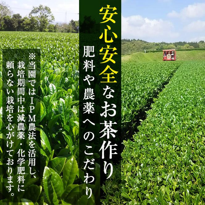 茶畑直送　飲み比べ！バラエティーセット a5－０１８