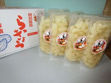 0058 特別栽培らっきょうの甘酢漬(6袋セット)