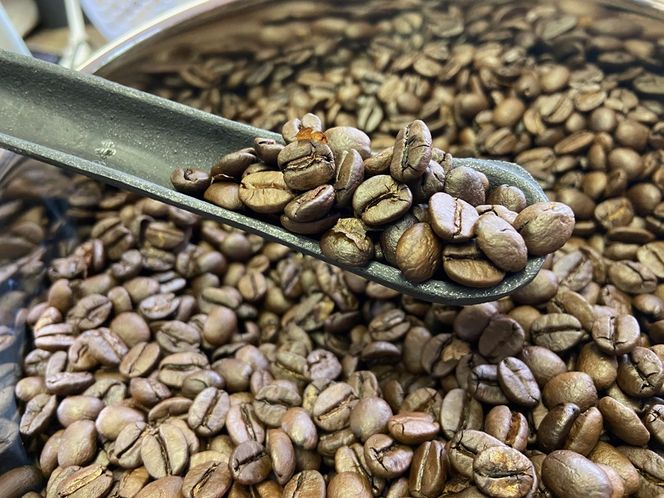 自家焙煎珈琲豆 シングル 4種類飲み比べ 30g 4種×4袋 計16袋【豆でお届け】｜SAKURA黒猫堂 珈琲 焙煎 コーヒー豆 