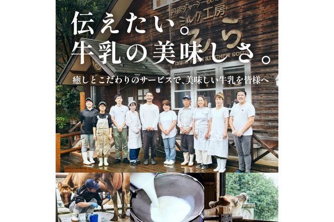 丹後ジャージー牧場直送！搾りたてジャージー牛乳から作る濃厚ミルクのジャージーアイス6個セット　スイーツ アイスクリーム 6種 ミルク 琴引きの塩 黒豆きなこ 抹茶 チョコ ミルク工房そら sora ソラ 冷凍　TJ00002