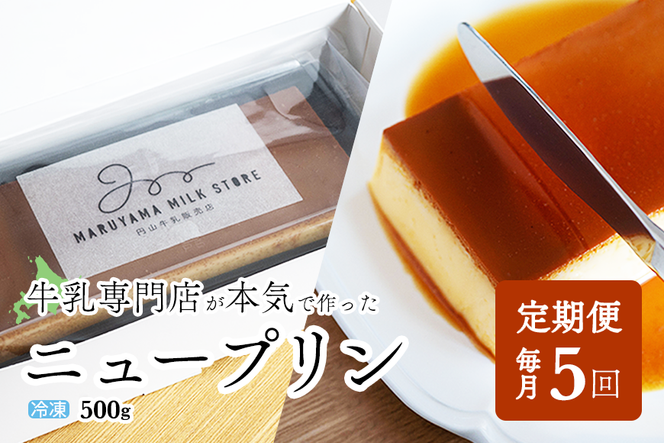 【定期便】濃厚プリン　New Pudding（ニュープディング）（500g×1本）×5ヶ月【be152-0931-100-5】(プリン 乳製品 スイーツ 北海道 別海町 定期便 5ヶ月 5ヵ月 5か月 5回)