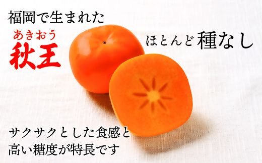 福岡県ブランド　高級柿【秋王】3.5kg【JAほたるの里】_HA1352
