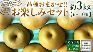 【 先行予約 】茨城県産 梨 品種おまかせお楽しみセット 約 3kg 6玉～10玉 ( 茨城県共通返礼品 : 常陸太田市 ) 【 2024年 8月下旬頃より発送 】 フルーツ 果物 国産 日本産 梨 ナシ なし 和梨 期間限定 数量限定 [EN013us]