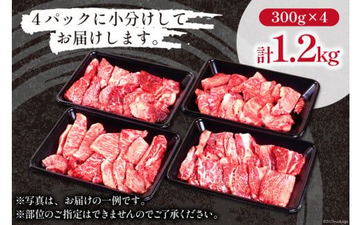 宮崎和牛 切り落とし 焼肉 1.2kg [道の駅「日向」物産館 宮崎県 日向市 452060579] 切落し きりおとし 牛肉 黒毛和牛