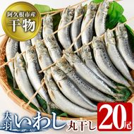 鹿児島県阿久根市産干物！大羽いわし丸干し(20尾)国産 鹿児島県産 魚介 魚貝 海産物 水産加工物 惣菜 簡単調理 セット 小分け【川本商店】akn030-09
