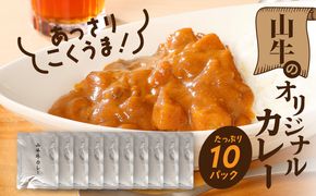 ★スピード発送!!７日～10日営業日以内に発送★「山牛」のオリジナルカレー10パックセット K16_0012_1