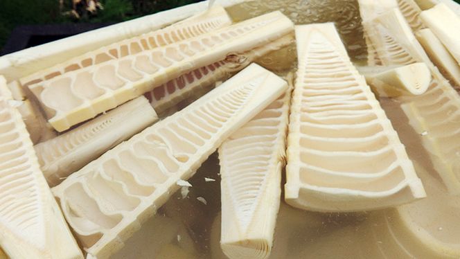 《 先行予約 》 掘りたて 穂先 ゆでたけのこ 約1kg 【 2026年 4月中旬 以降発送 】 野菜 春 旬 期間限定 数量限定 国産 産地直送 箱 真空パック 個包装 茹で 筍 タケノコ 竹の子 [AQ002us]