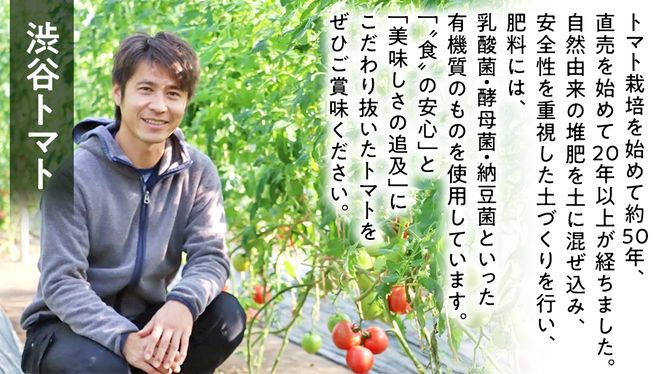 【 2025年 収穫分 先行予約 】 -太陽の味- 渋谷トマト 大玉トマト・ミニトマト詰め合わせ 約3.5kg 2025年1月4日～発送開始 トマト ミニトマト 茨城 産地直送 農家直送リコピン ビタミン 有機肥料 野菜 甘い 直売所  [EL01-NT]