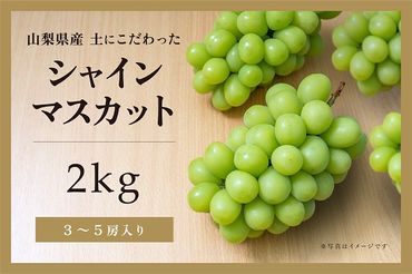 【✩先行予約✩2024年/令和6年発送分】土にこだわったシャインマスカット　2㎏　3房以上 BI-2