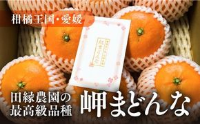 【先行予約】【数量限定】田縁農園の岬（はな）まどんな（生果）2kg ｜ 柑橘 みかん ミカン フルーツ 果物 愛媛 ※2024年11月下旬～12月下旬頃に順次発送予定