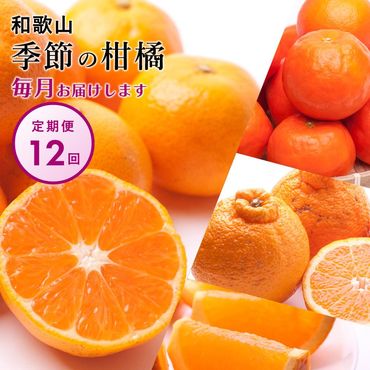 【 毎月発送 全12回 】 柑橘定期便A【IKE9】BB90145
