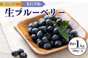 【先行予約／数量限定20】【訳あり】無選別 生ブルーベリー500g×2（2026年7月上旬～発送）　FG00004