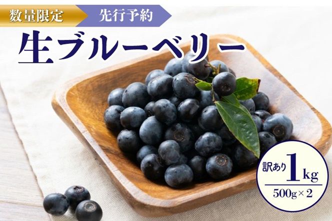 ys{Oszys\^ʌ20zy󂠂zI u[x[500g×2i2026N7{`j@FG00004