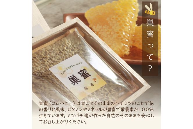 京丹後産巣蜜（250ｇ）KYOTOTANGOHONEY森の百花蜜 純粋非加熱天然