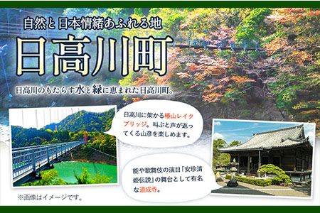 きのくに中津荘本館　1泊2日 ペア ご宿泊券 株式会社フラット・フィールド・オペレーションズ 日高川町事業所 (きのくに中津荘)《30日以内に出荷予定(土日祝を除く)》  和歌山県 日高川町 きのくに中津荘本館　宿泊券---iwshg_kfknpair_30d_23_59000_1i---