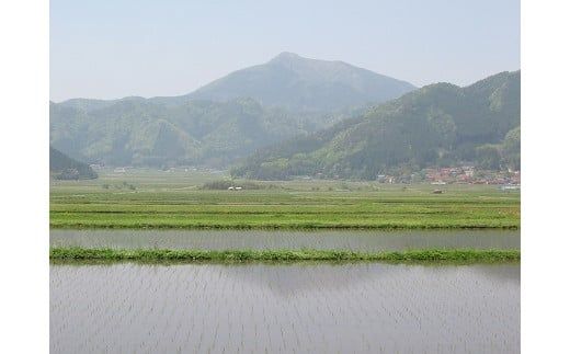 A097 維新の一粒5㎏×6袋（白米）