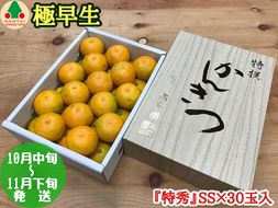 極早生 有田 みかん 化粧箱 小箱 特秀 小玉 SS サイズ 30玉入 南泰園 和歌山 有田みかん BS609