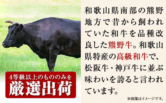 熊野牛 A4以上 霜降り 赤身 こま切れ 500g 株式会社魚鶴商店《30日以内に出荷予定(土日祝除く)》 和歌山県 日高町 熊野牛 黒毛和牛 A4等級以上 赤身 こま切れ---wsh_fuot11_30d_23_25000_500g---