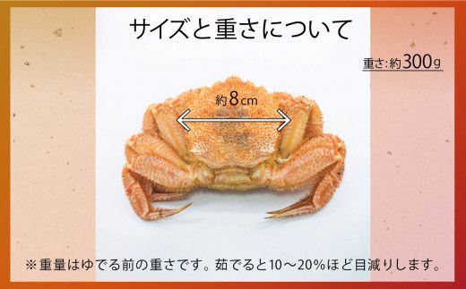 【令和8年発送】三陸産！活毛ガニ 300g相当×1～100杯【2026年2月〜4月発送】【配送日指定不可】【0tsuchi01297】【08】