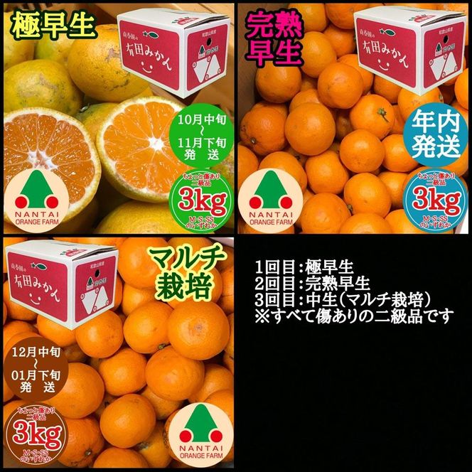 【定期便 全3回】有田みかん ちょっと傷あり 3kg × 3回 コース 食べくらべ 3種 南泰園      BS860