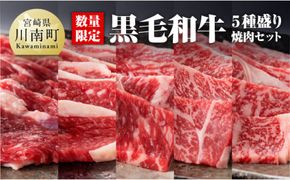 黒毛和牛5種盛り 焼肉セット（数量限定）300g 【 肉 牛肉 国産 宮崎県産 黒毛和牛 ミヤチク BBQ バーベキュー 送料無料 】[D0637]