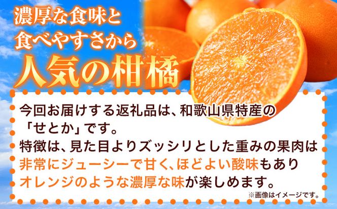 とろける食感!ジューシー柑橘 せとか 約3kg 魚鶴商店 《2月下旬-3月下旬頃出荷》 和歌山県 日高町 みかん 柑橘 果物 フルーツ 送料無料---wsh_utr8_p23_23_18000_3kg---