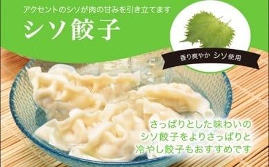 「宇都宮餃子館」シソ餃子 960ｇ（４８個）≪ギョーザ 冷凍餃子 冷凍食品 グルメ 食品 惣菜 中華惣菜 点心 中華≫◇