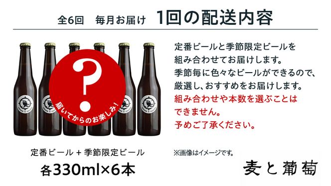 【 6ヶ月連続 】 クラフトビール おまかせ 定期便 6本セット 飲み比べ 茨城県産 牛久醸造場 330ml × 6本 ビール 地ビール クラフト お酒 贈り物 ギフト 詰め合わせ [BJ034us]