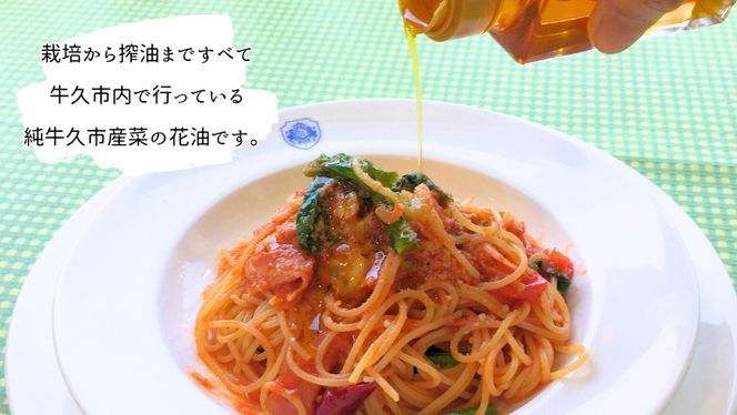 牛久市産 菜の花 油 『 オーリオ 』 6種 セット 詰合せ ふるさと納税限定 食用油 オリーブオイル 調味料 料理 パスタ バケット ロッソ ニンニク にんにく ハーブ バジル 辣油 葱油 常温 [CM001us]