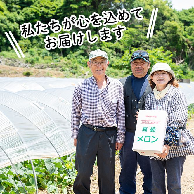 ＜先行予約受付中！2026年6月以降順次発送予定＞鹿児島県産！南国グリーンメロン(2Lサイズ×2個) メロン めろん 果物 スイーツ デザート フルーツ【あくね旬の店いきいき館】akn015-17
