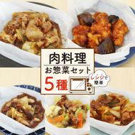 肉料理 ミールキット 5種 セット 紙包み 簡単 料理 冷凍 おかず レンジ 調理 韓国 料理 おつまみ 静岡県 藤枝市 [  PT0074-000015 ]